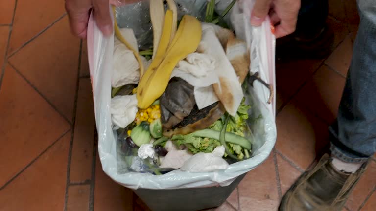Best Residential Junk Removal  in St Peter, MN